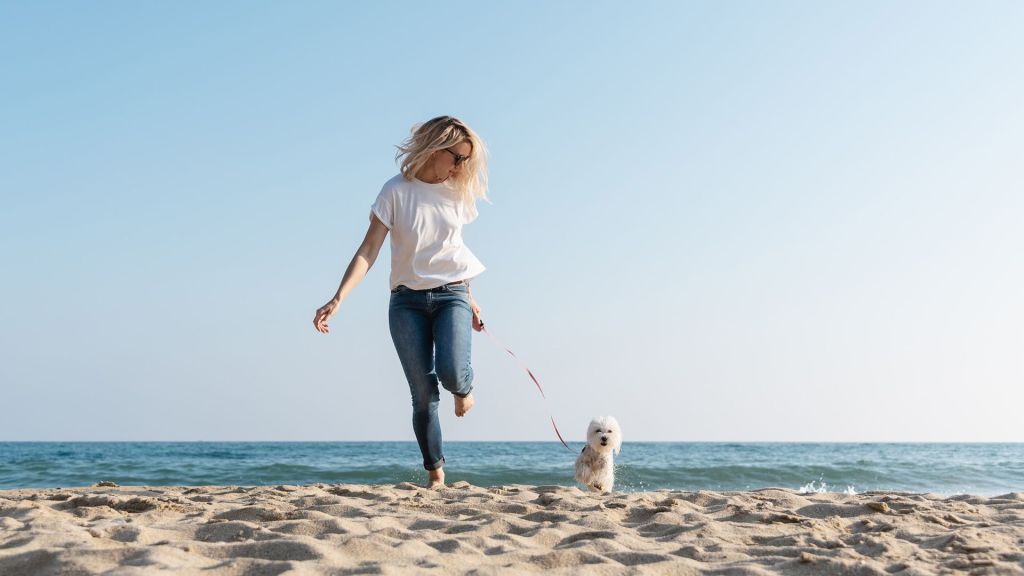 El reconocido hotel ubicado en Riviera Diamante Acapulco impulsa el turismo dog friendly y te invita a disfrutar de días inolvidables junto con este querido miembro de la familia
