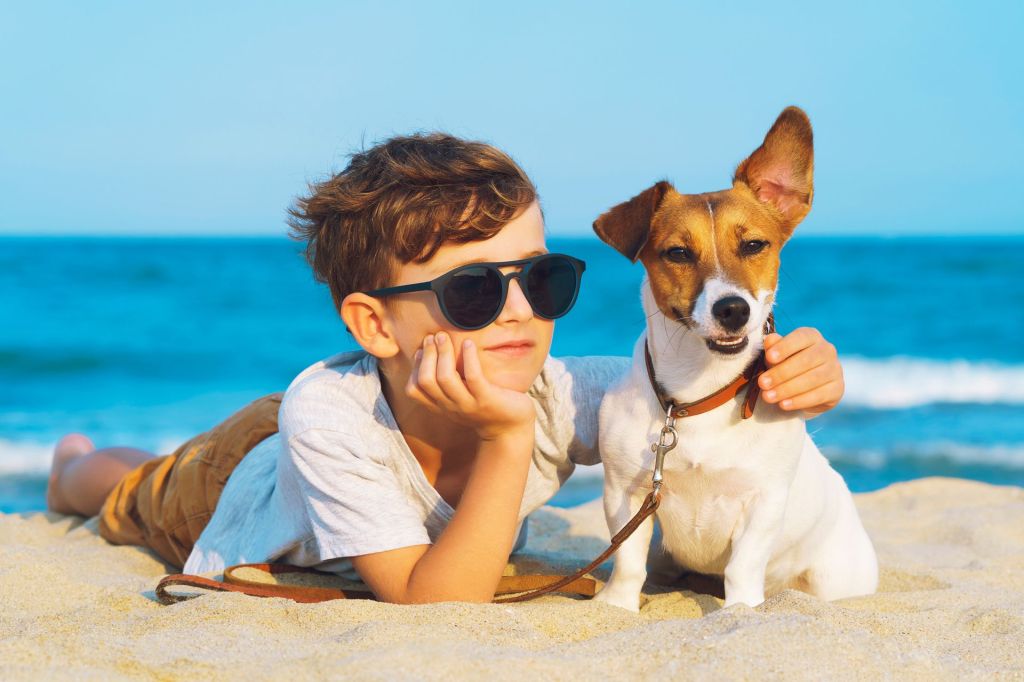 El reconocido hotel ubicado en Riviera Diamante Acapulco impulsa el turismo dog friendly y te invita a disfrutar de días inolvidables junto con este querido miembro de la familia
