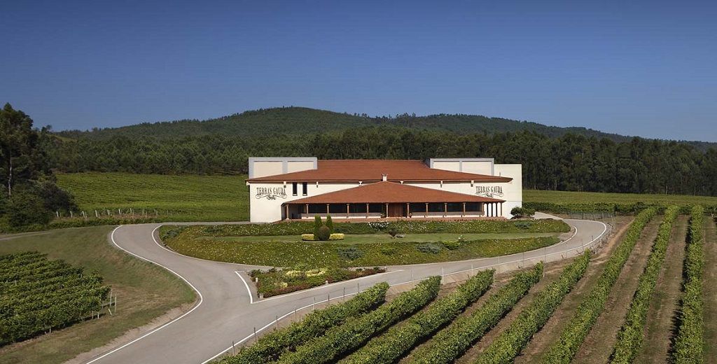 Su sola mención es sinónimo de una bodega que ha marcado una transformación en el goce y el entendimiento de los vinos de Galicia; abriendo además nuevos conceptos y expresiones en Bierzo, Rioja y Castilla y León
